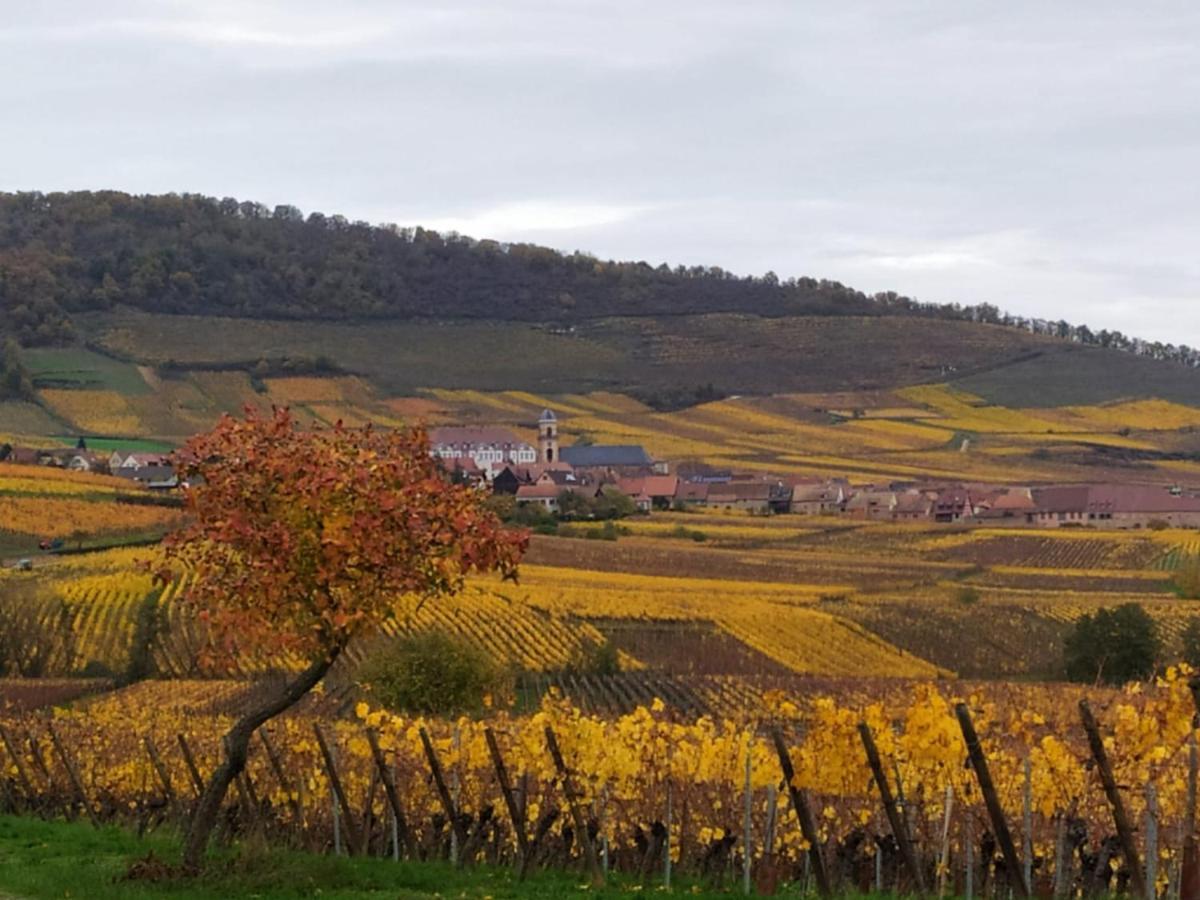 Le Bubele Au Coeur Du Centre Medieval Et Vignoble Ribeauville  Luaran gambar